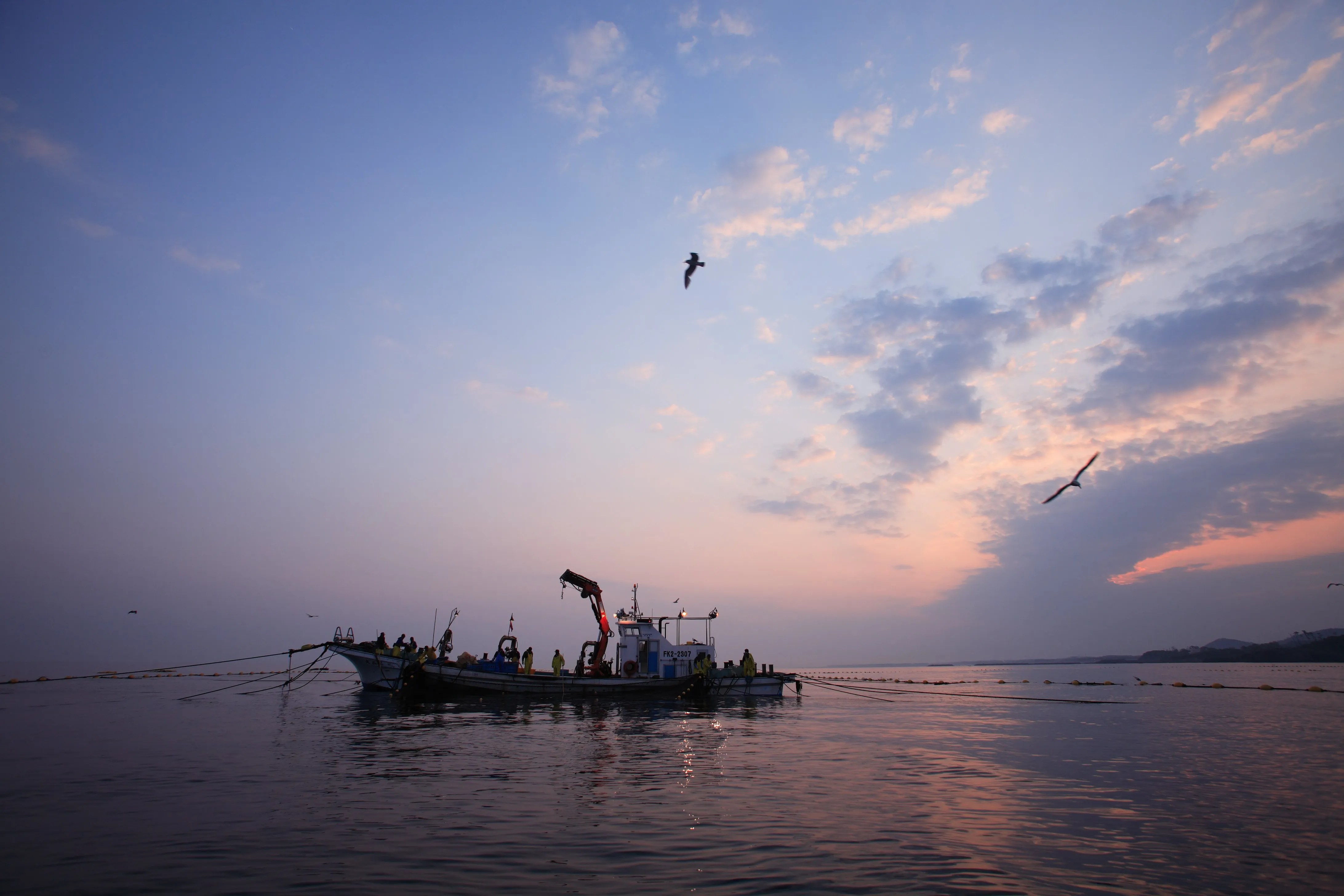 株式会社越前水産