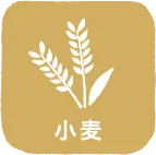 小麦